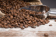 Scoop of coffee crops with space for your text