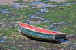 Beached Green Boat