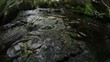 wasserlauf