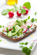 Wholemeal sandwiches with vegetables