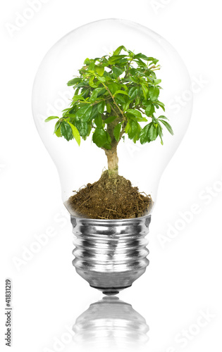 Photo: Lamp Lamp