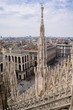 Guglie del Duomo di Milano