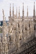 Guglie del Duomo di Milano