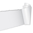 aufgerissenes Papier mit Textfreiraum aufgerissenes Papier mit Textfreiraum