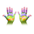 handreflexzonen