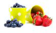 Assorted fresh picked berries