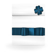 Vector: pochette cadeau bleue pochette cadeau bleue