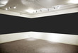 Art gallery. Wide black horizontal panel.