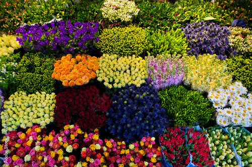 Photo: Colorful flowers in a florist's. Gardening Colorful flowers in a florist's. Gardening
