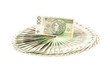 Paper money from poland to use in business Paper money from poland to use in business