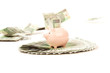 Paper money from poland to use in safe business Paper money from poland to use in safe business