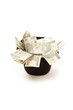 Paper money from poland to use in business Paper money from poland to use in business