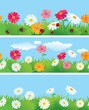 3 seamless borders with ox-eye daisy flowers and ladybirds