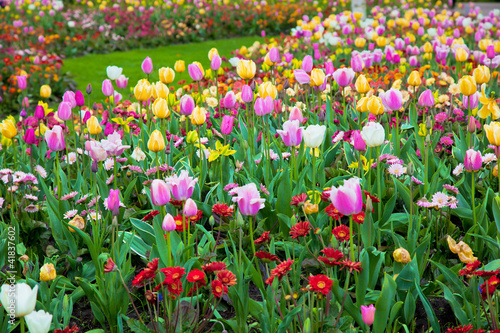 Photo: Colorful spring summer garden, flowers Colorful spring summer garden, flowers
