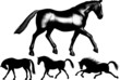 Set of vector silhouettes of horses.