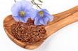 Linum mit Leinsamen, isolated