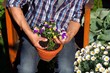 Gärtner pflanzt Blumen in Tontopf Morgensonne