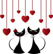 Love black cats