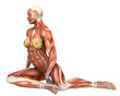 muscle woman on the floor frontal muscle woman on the floor frontal