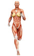 muscle woman running muscle woman running