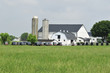 Amish buggies gathering