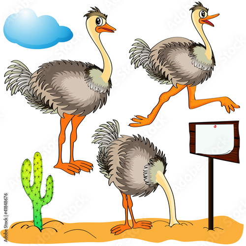 Vector: ostrich runs, covers head sand and cost(stand)s on background c ostrich runs, covers head sand and cost(stand)s on background c