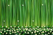 Green backdrop flowers arrangement