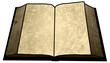 Golden Empty Blank Book Image