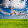 Books on meadow