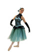 Elegant Ballerina in Romantic Length Costume