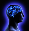 Foto: Brain Activity Brain Activity