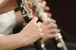 clarinet players