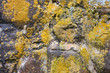 moss-covered stone structure moss-covered stone structure