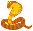 Cobra