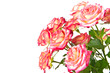 Bouquet of beautiful roses.
