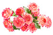 Bouquet of beautiful roses.