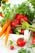 Different fresh vegetables