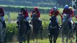 Video: Horse race Horse race