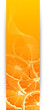 Banners with oranges