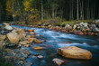 River in forest