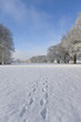 Footprints through fresh snow in winter landscape