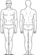 Figure of the man