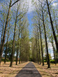 Foto: road road