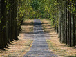 Foto: road road