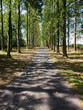 Foto: road road