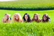 Foto: Women on meadow Women on meadow