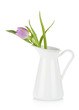 Pink tulip in metal pitcher Pink tulip in metal pitcher