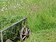 gras mähen
