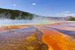 Yellowstone