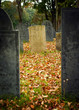 Fall graveyard